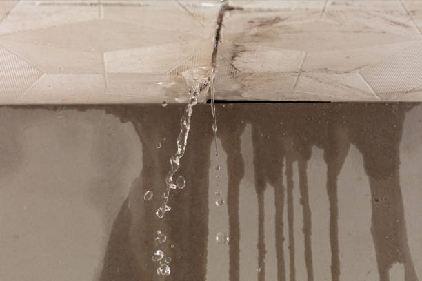 Professional Burst Pipe Cleanup technician working in Emigrant Gap, CA